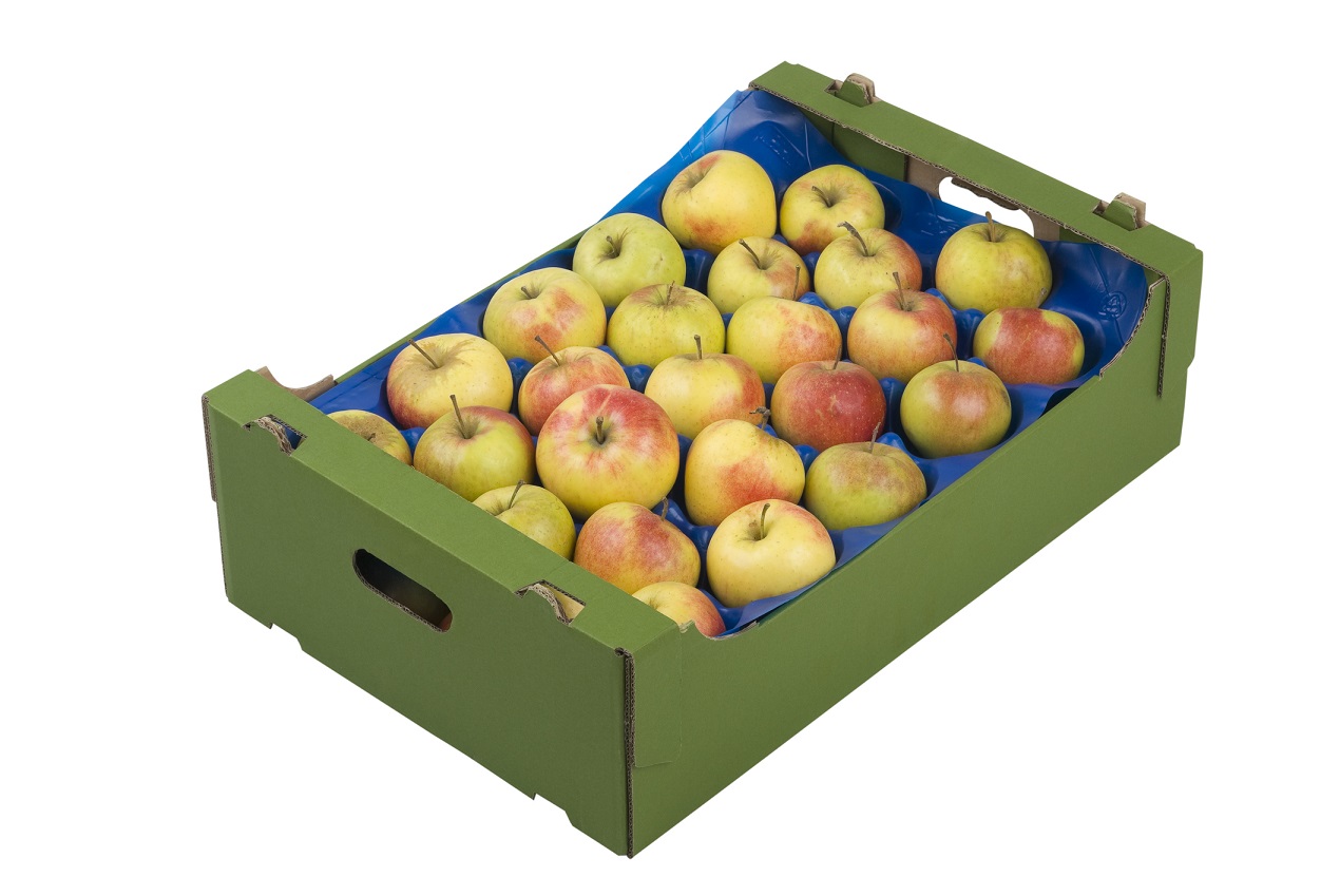 Przechowywanie dużych jabłek w skrzynce sklejanej