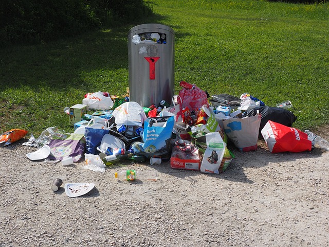 Odbiór i wywóz odpadów – jak pozbyć się zbędnych śmieci?